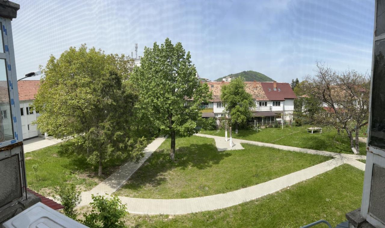 Studio Serenity Onesti Apartment Bagian luar foto